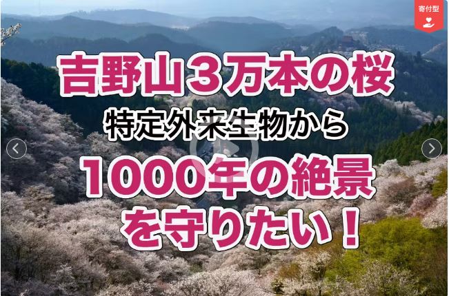 �N���E�h�t�@���f�B���O�̎��{�ɂ���